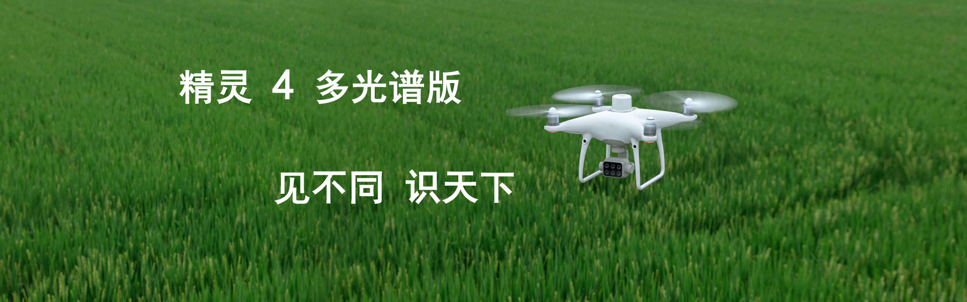 關于我們